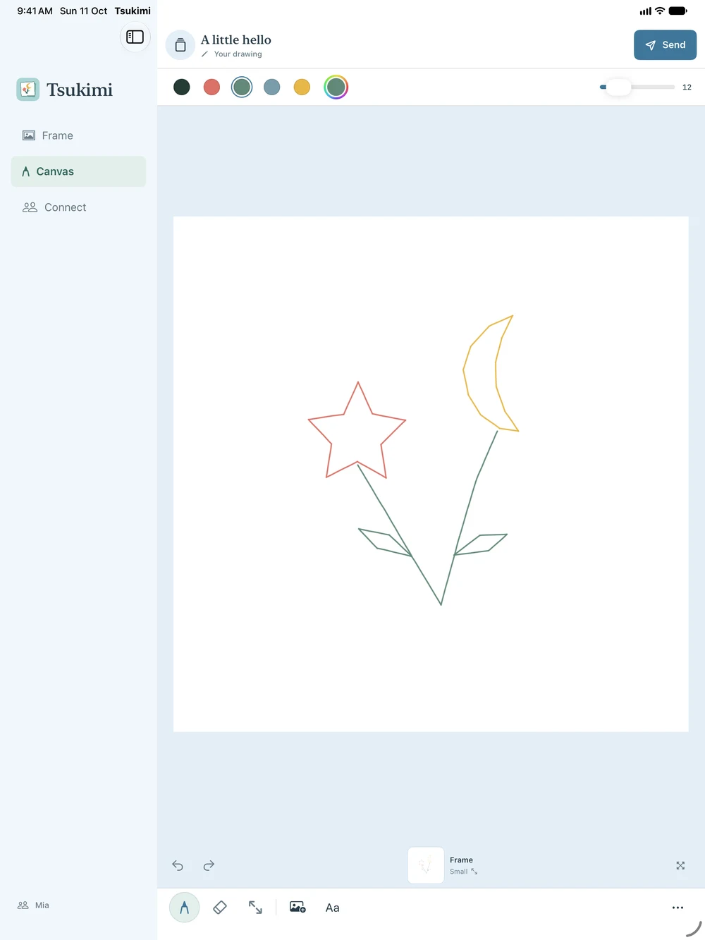 A moon and star bouquet drawn by hand in Tsukimi's native iPad canvas